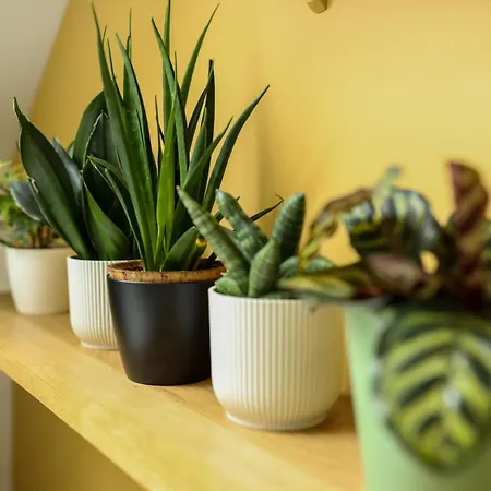 De La Croix - A 4 Minutes De L'a26 Avec Parking Oda ve Kahvaltı Villechétif