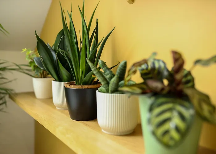 De La Croix - A 4 Minutes De L'a26 Avec Parking Bed & Breakfast Villechetif